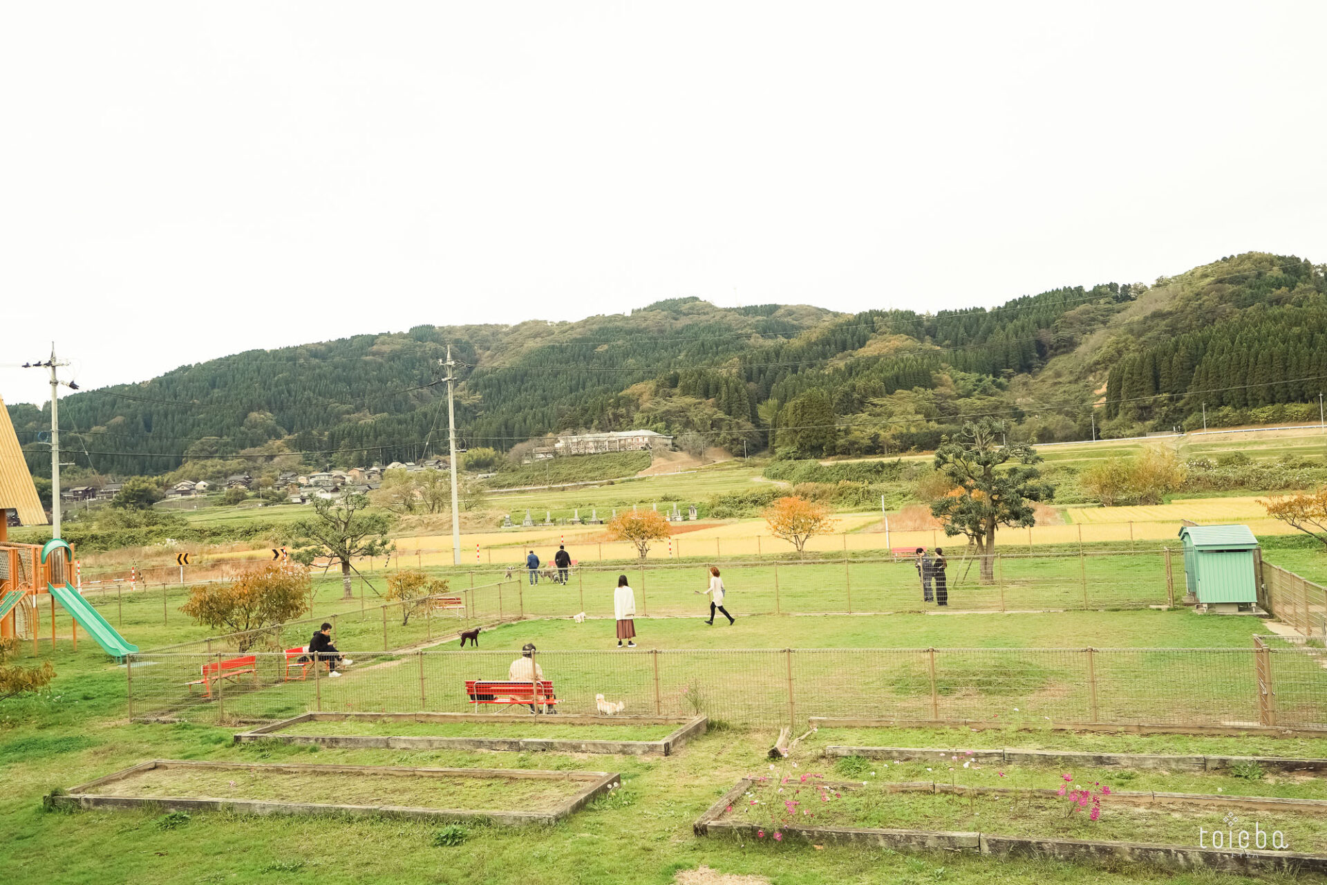 【最新版】富山県内でペットを連れて観光できるおすすめスポット8選 | toieba（トイエバ）