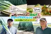 スライド用TOP_八ケ山白ねぎ（2026.10～）
