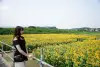 S14-1024x683