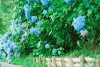 Image002