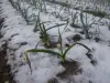 image14