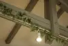 image15