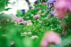 Image003